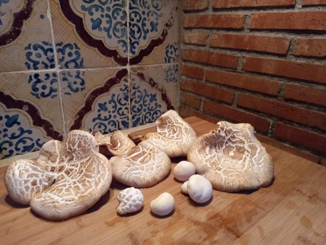 Casa Della Nonna Villa Caltavuturo Kültér fotó